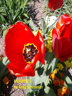 cover image of Moments